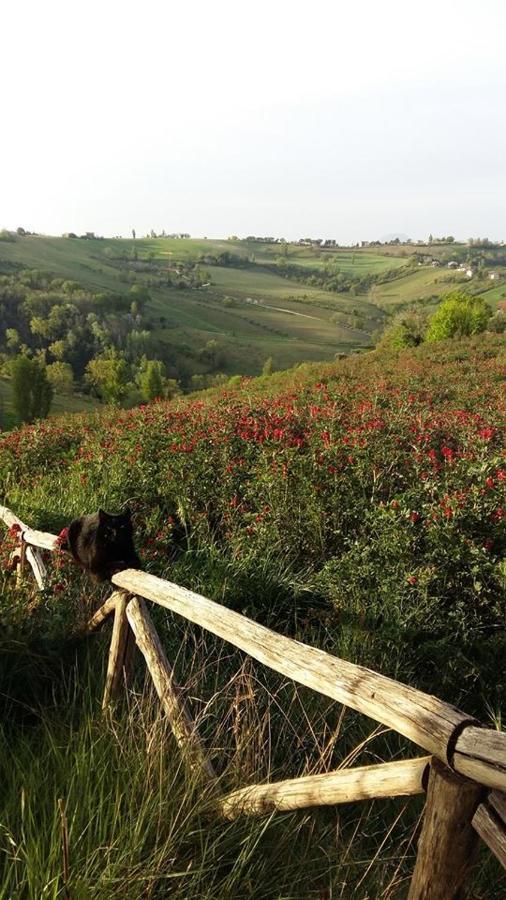 Locanda San Francesco Montecarotto Bagian luar foto
