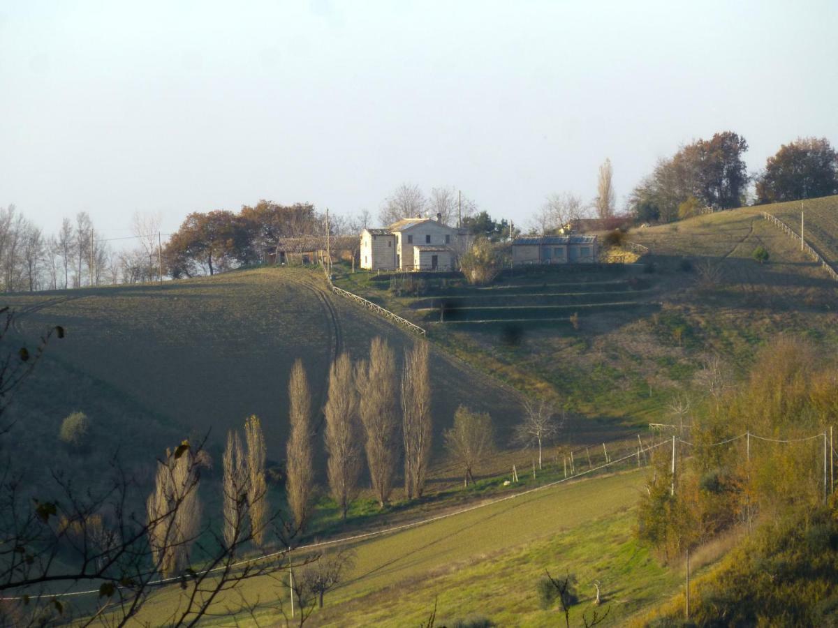 Locanda San Francesco Montecarotto Bagian luar foto